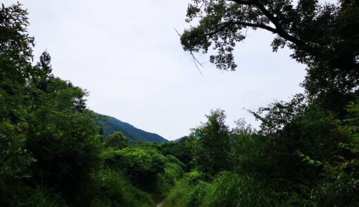 ぶらっと山へ、クワガタとりに